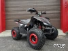 Квадроцикл PROMAX SPORT - PRO 180 (2025)