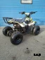 Квадроцикл RAPTOR 110