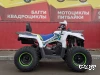 Квадроцикл PROMAX RENEGADE 280 LUX (2025)