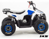 Квадроцикл MZ Eagle 110