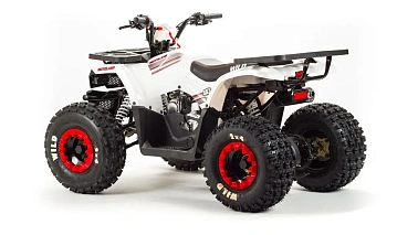 Квадроцикл MOTOLAND (МОТОЛЕНД) 125 WILD