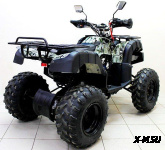 Квадроцикл ATV Avenger Tungus 250
