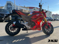 Мотоцикл PROMAX STRYKER 200(49)